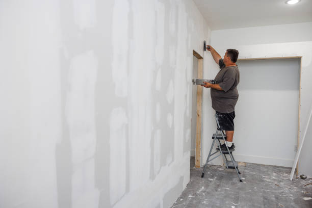 Best Water Damage & Mold Remediation  in Walker, MI