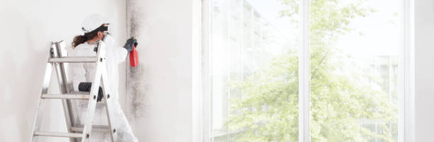 Mold Remediation for Vacation Homes in Walker, MI
