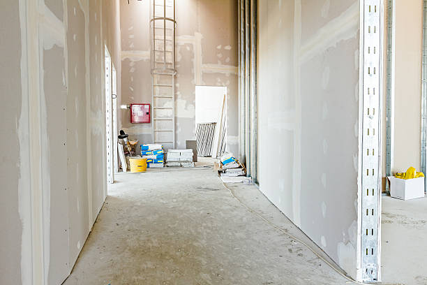 Best Crawl Space Mold Remediation  in Walker, MI