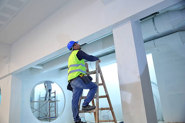 Best Mold Damage Restoration  in Walker, MI